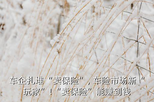 車險(xiǎn)賺保險(xiǎn)公司錢,車險(xiǎn)哪家保險(xiǎn)公司口碑好性價(jià)比高
