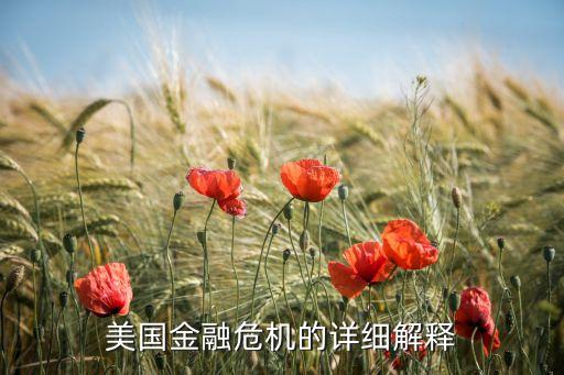 美國(guó)金融危機(jī)的詳細(xì)解釋
