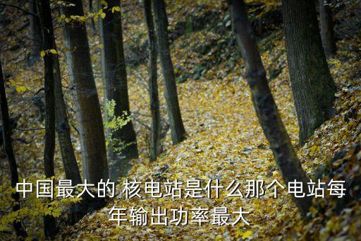 中國最大的 核電站是什么那個電站每年輸出功率最大