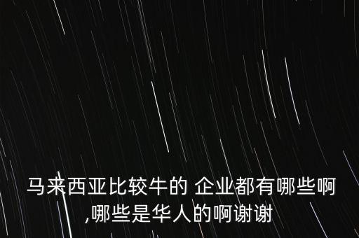  馬來(lái)西亞比較牛的 企業(yè)都有哪些啊,哪些是華人的啊謝謝