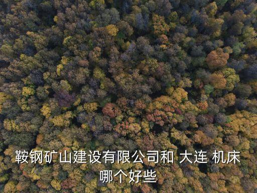 鞍鋼礦山建設有限公司和 大連 機床哪個好些
