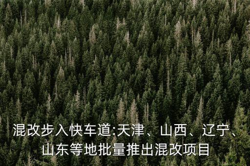 混改步入快車(chē)道:天津、山西、遼寧、山東等地批量推出混改項(xiàng)目