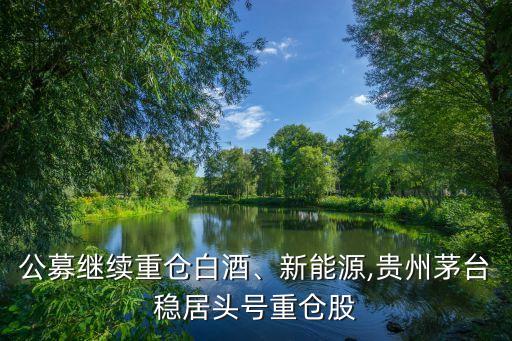 公募繼續(xù)重倉(cāng)白酒、新能源,貴州茅臺(tái)穩(wěn)居頭號(hào)重倉(cāng)股