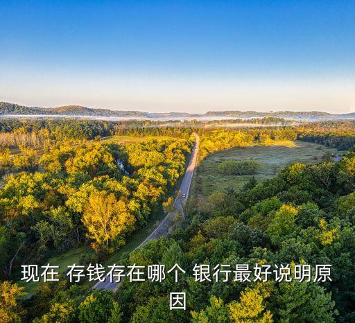 現(xiàn)在 存錢存在哪個 銀行最好說明原因