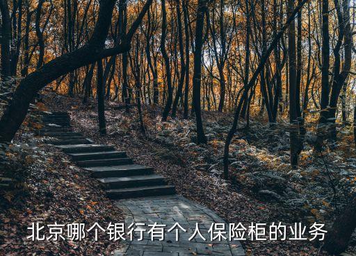 北京哪個(gè)銀行有個(gè)人保險(xiǎn)柜的業(yè)務(wù)