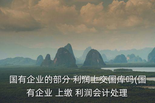 國有企業(yè)的部分 利潤上交國庫嗎(國有企業(yè) 上繳 利潤會計(jì)處理