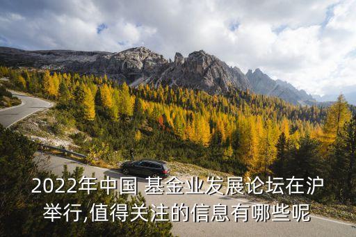 中國(guó)基金市場(chǎng)資產(chǎn),幣市場(chǎng)基金的資產(chǎn)主要投資于