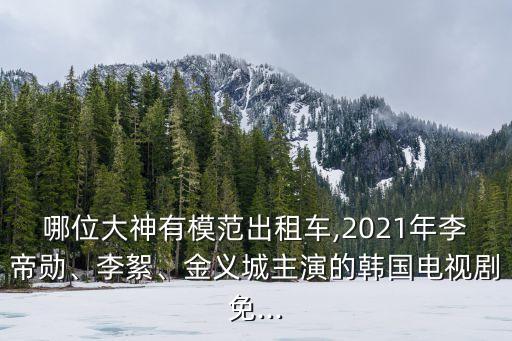 哪位大神有模范出租車,2021年李帝勛、李絮、金義城主演的韓國電視劇免...