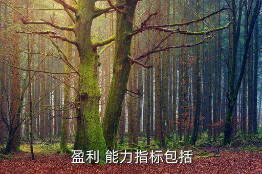  盈利 能力指標包括