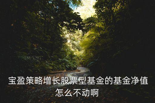  寶盈策略增長(zhǎng)股票型基金的基金凈值怎么不動(dòng)啊