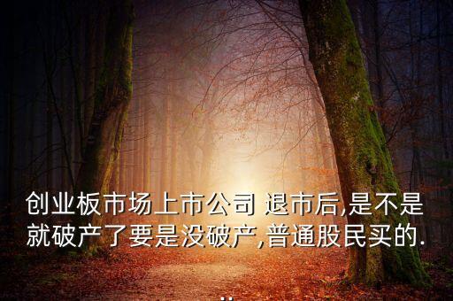 創(chuàng)業(yè)板市場(chǎng)上市公司 退市后,是不是就破產(chǎn)了要是沒(méi)破產(chǎn),普通股民買(mǎi)的...