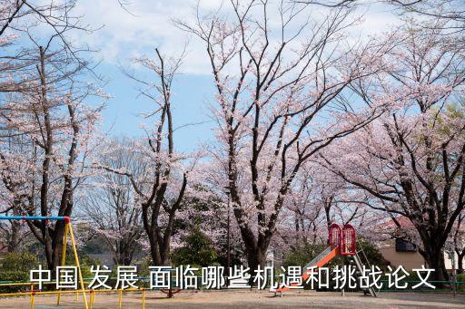 中國 發(fā)展 面臨哪些機(jī)遇和挑戰(zhàn)論文