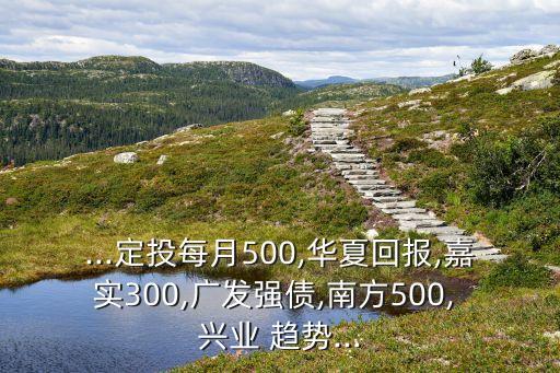...定投每月500,華夏回報(bào),嘉實(shí)300,廣發(fā)強(qiáng)債,南方500, 興業(yè) 趨勢(shì)...