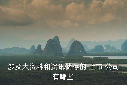 涉及大資料和資訊儲存的 上市 公司有哪些