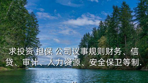 求投資 擔(dān)保 公司議事規(guī)則財(cái)務(wù)、信貸、審計(jì)、人力資源、安全保衛(wèi)等制...