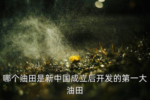 哪個油田是新中國成立后開發(fā)的第一大油田