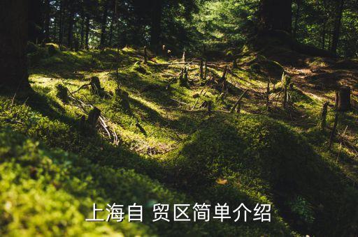 上海自 貿(mào)區(qū)簡單介紹