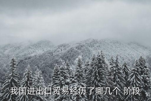 我國進(jìn)出口貿(mào)易經(jīng)歷了哪幾個(gè) 階段