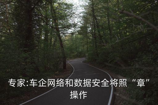 專(zhuān)家:車(chē)企網(wǎng)絡(luò)和數(shù)據(jù)安全將照“章”操作