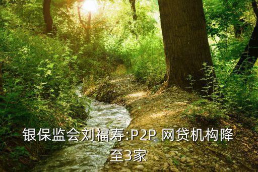 銀保監(jiān)會劉福壽:P2P 網(wǎng)貸機構(gòu)降至3家