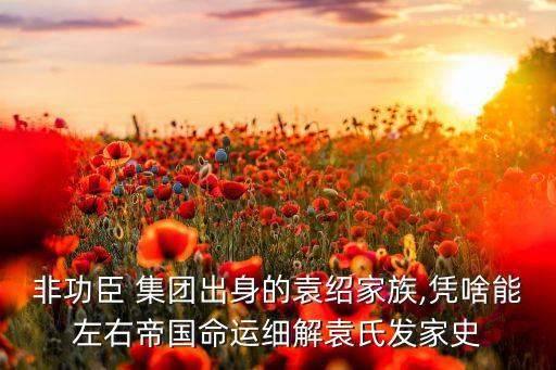 豪門(mén)集團(tuán)跑路,豪門(mén)后媽跑路失敗