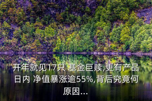 開年就見17只 基金巨贖,更有產(chǎn)品日內(nèi) 凈值暴漲逾55%,背后究竟何原因...