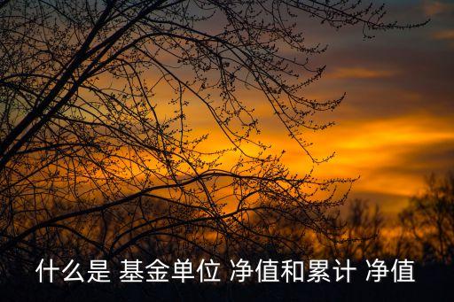 什么是 基金單位 凈值和累計(jì) 凈值