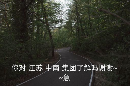 你對 江蘇 中南 集團(tuán)了解嗎謝謝~~急