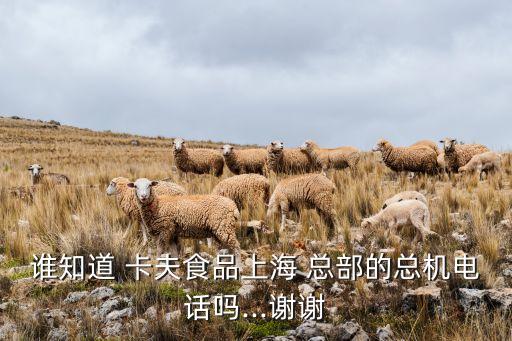 誰知道 卡夫食品上海 總部的總機(jī)電話嗎...謝謝