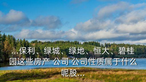 ...保利、綠城、綠地、恒大、碧桂園這些房產(chǎn) 公司 公司性質(zhì)屬于什么呢股...