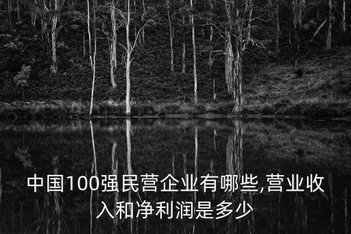 中國(guó)100強(qiáng)民營(yíng)企業(yè)有哪些,營(yíng)業(yè)收入和凈利潤(rùn)是多少
