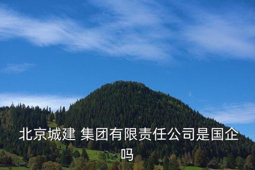 北京城建集團投資置地事業(yè)部