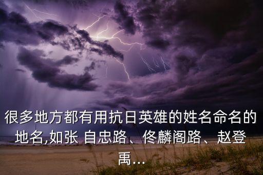 很多地方都有用抗日英雄的姓名命名的地名,如張 自忠路、佟麟閣路、趙登禹...