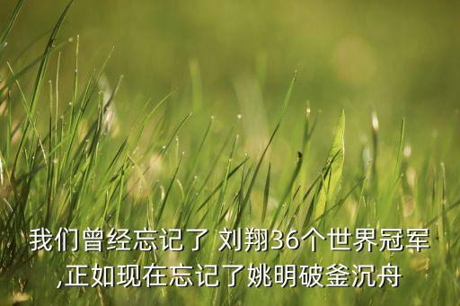 ?？导瘓F(tuán)劉翔,中國(guó)交通集團(tuán) 劉翔