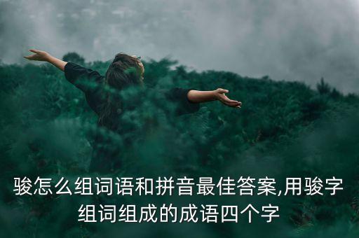 駿怎么組詞語(yǔ)和拼音最佳答案,用駿字組詞組成的成語(yǔ)四個(gè)字