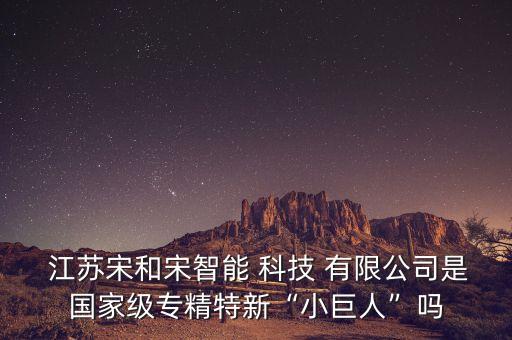  江蘇宋和宋智能 科技 有限公司是國家級專精特新“小巨人”嗎