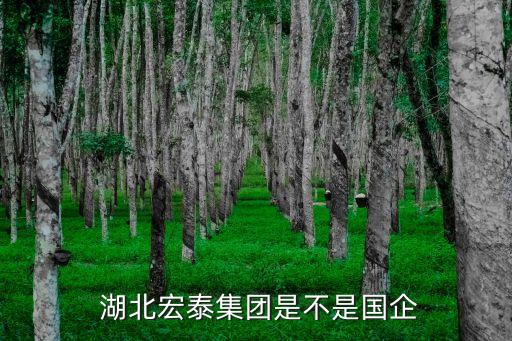  湖北宏泰集團(tuán)是不是國企