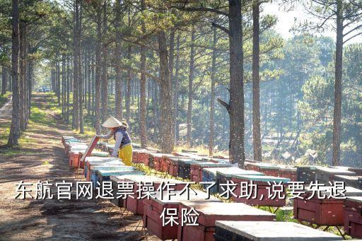 東航官網(wǎng)退票操作不了求助,說要先退保險(xiǎn)