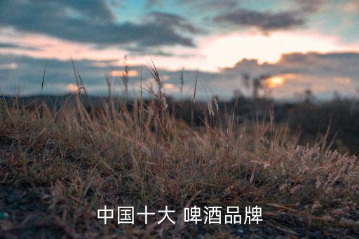 中國(guó)十大 啤酒品牌