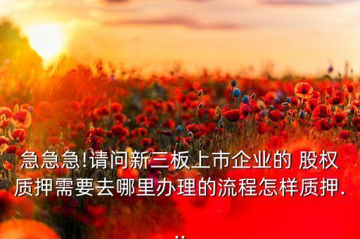 急急急!請問新三板上市企業(yè)的 股權(quán)質(zhì)押需要去哪里辦理的流程怎樣質(zhì)押...