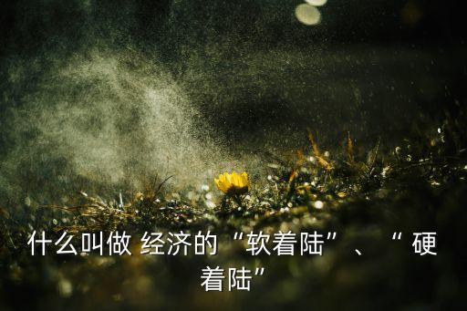 什么叫做 經(jīng)濟(jì)的“軟著陸”、“ 硬著陸”