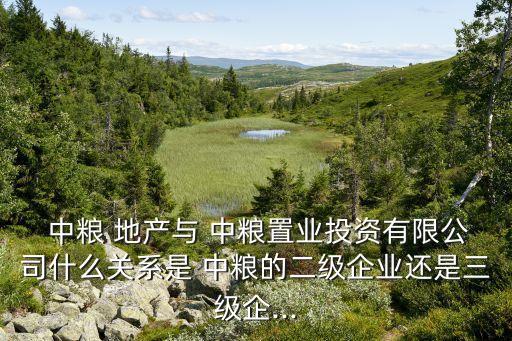  中糧 地產(chǎn)與 中糧置業(yè)投資有限公司什么關系是 中糧的二級企業(yè)還是三級企...