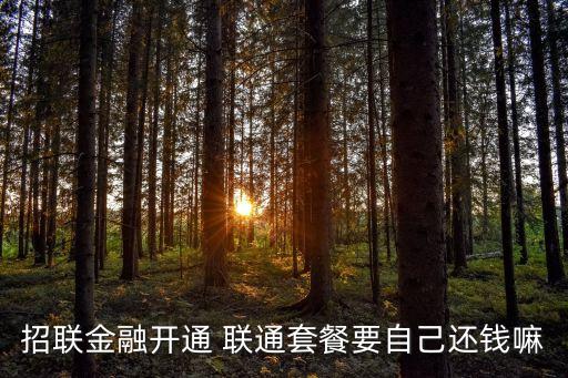 招聯(lián)金融開(kāi)通 聯(lián)通套餐要自己還錢(qián)嘛
