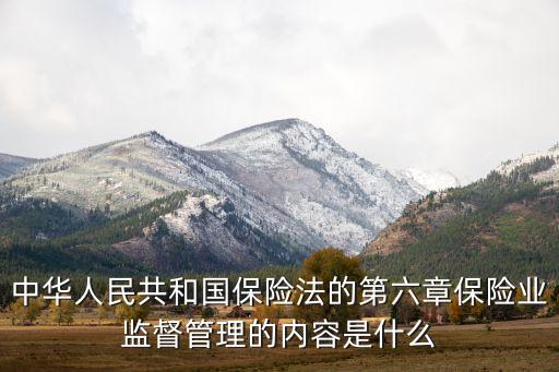 中華人民共和國(guó)保險(xiǎn)法的第六章保險(xiǎn)業(yè)監(jiān)督管理的內(nèi)容是什么