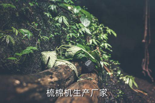 東佳控股有限公司,深圳市東佳信電線(xiàn)電纜有限公司
