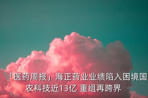 太極集團(tuán)重組計(jì)劃
