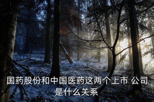 國藥股份和中國醫(yī)藥這兩個上市 公司是什么關(guān)系