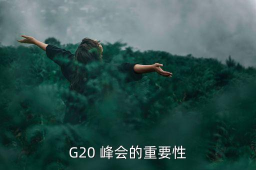 G20 峰會的重要性