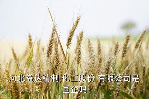 河北益達精制 化工股份 有限公司是國企嗎