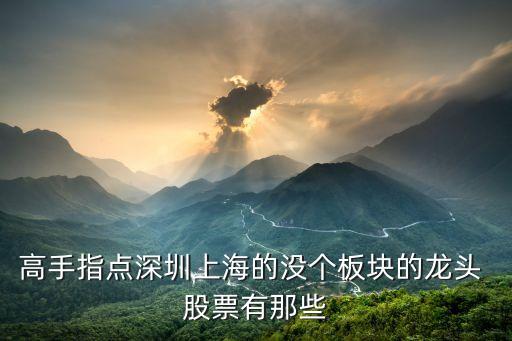 高手指點(diǎn)深圳上海的沒個(gè)板塊的龍頭 股票有那些